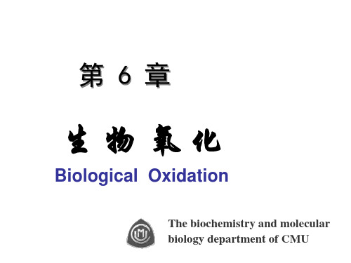 中国医科大学生物化学-生物氧化
