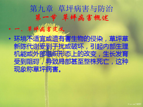 草坪病害与防治PPT课件