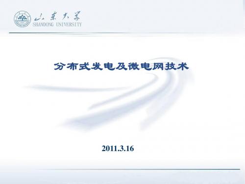 2011分布式发电及微电网技术