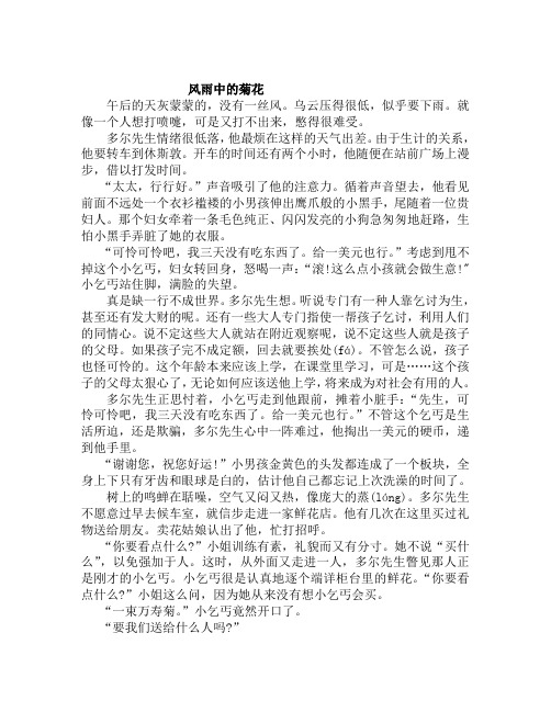 小升初语文：《风雨中的菊花》阅读理解精选习题及答案