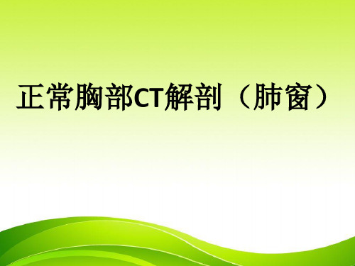 正常胸部CT解剖(肺窗)