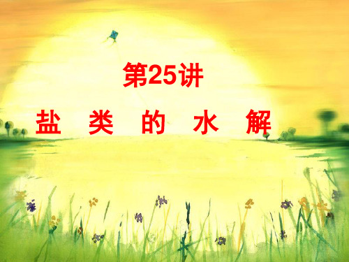 25讲 盐类水解