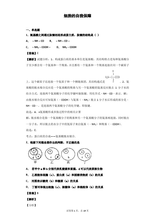 2018-2019学年中图版必修一   细胞的自我保障 单 元测试