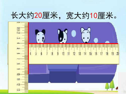 苏教版国标本二年级下册《认识分米和毫米》课件