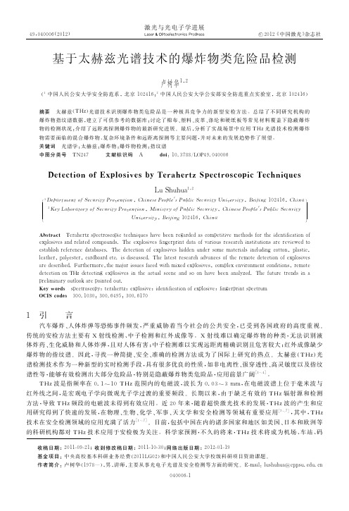 基于太赫兹光谱技术的爆炸物类危险品检测