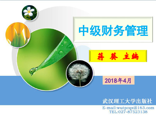 20第一章中级财务管理总论