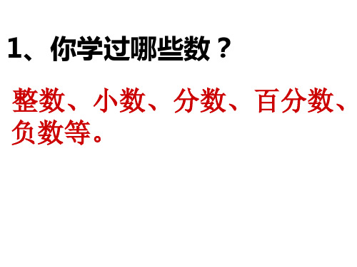 人教版六年级数学下册第六单元第一课时_数的认识(一)数的意义及分类识