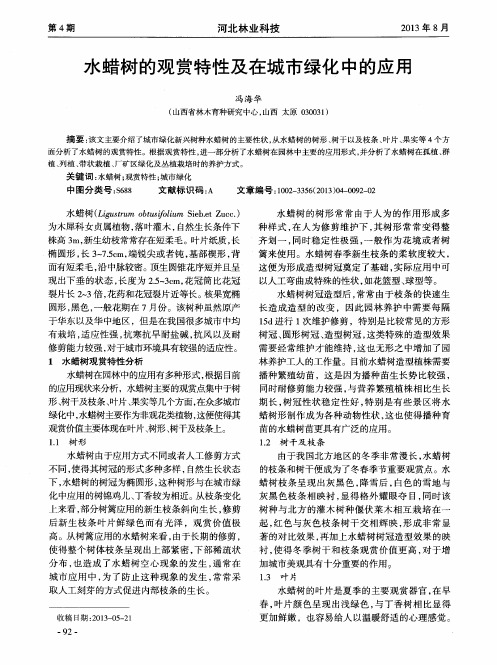 水蜡树的观赏特性及在城市绿化中的应用