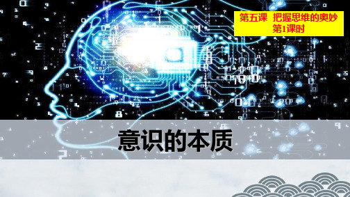高中政治必修4精品课件7：5.1 意识的本质