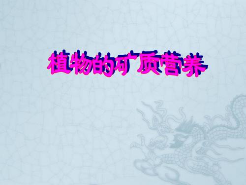 人教版高中生物必修1植物的矿质营养1ppt
