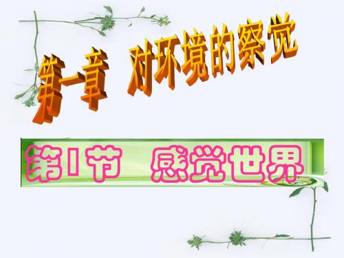 感觉世界