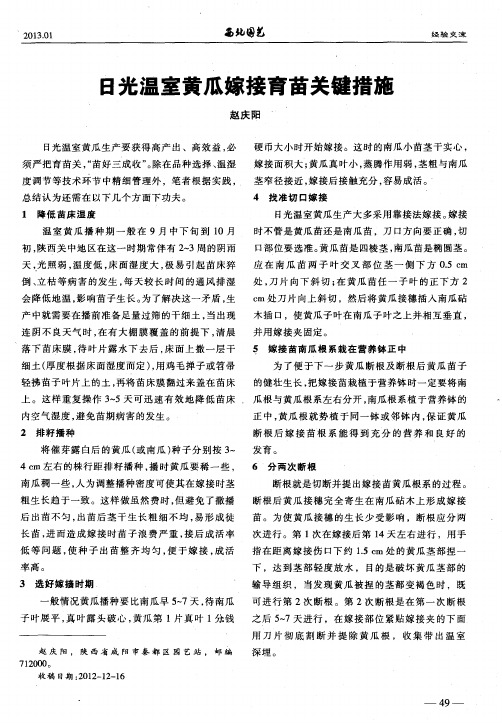 日光温室黄瓜嫁接育苗关键措施
