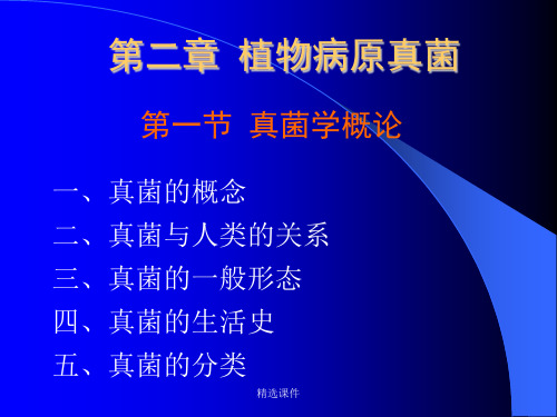 植物病原真菌概论演示课件.ppt