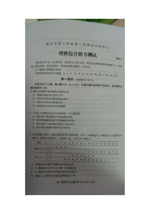 北京市海淀区2016届高三适应性训练(零模)理科综合试题