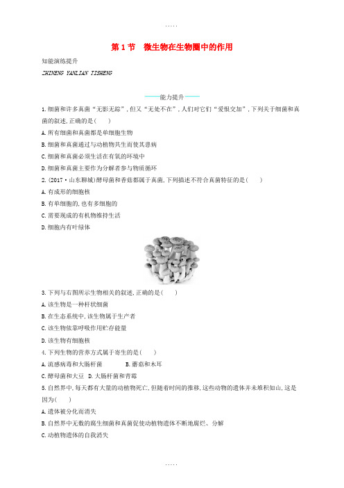北师大版八年级生物上册18.1微生物在生物圈中的作用课后习题精品文档