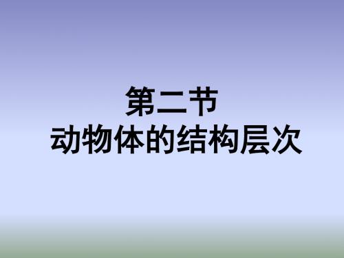 人教版七年级上册 2.2.2动物体的结构层次  课件(共44张PPT)