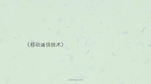 分集接收基本原理课件