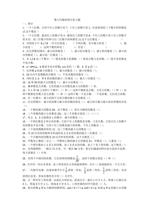 数与代数的填空复习题