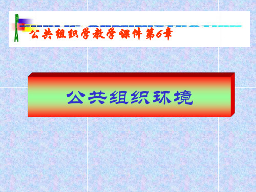 第六章：公共组织环境