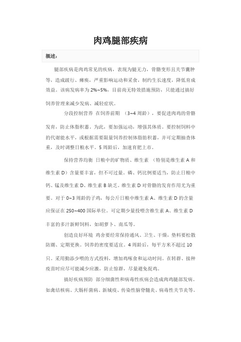 肉鸡腿部疾病