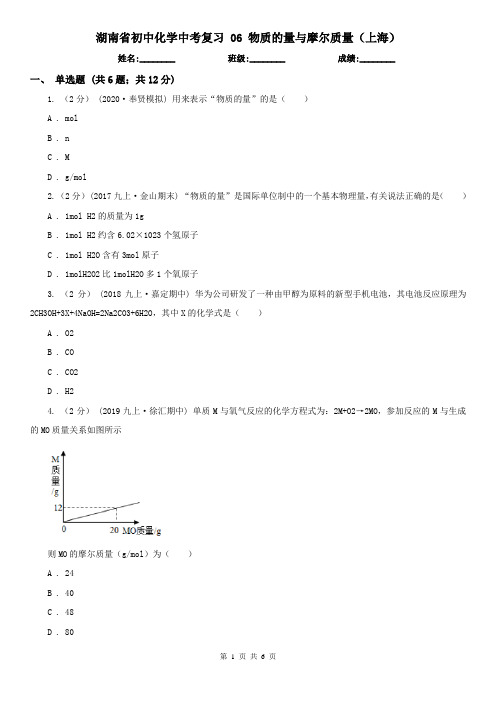 湖南省初中化学中考复习 06 物质的量与摩尔质量(上海)