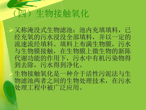 生物接触氧化(6)