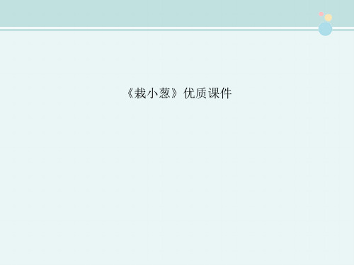 〖2021年整理〗《栽小葱》优质完整教学课件PPT