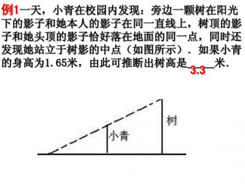 第四章 相似三角形 课件1(数学浙教版九年级上册)