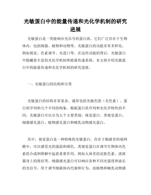 光敏蛋白中的能量传递和光化学机制的研究进展