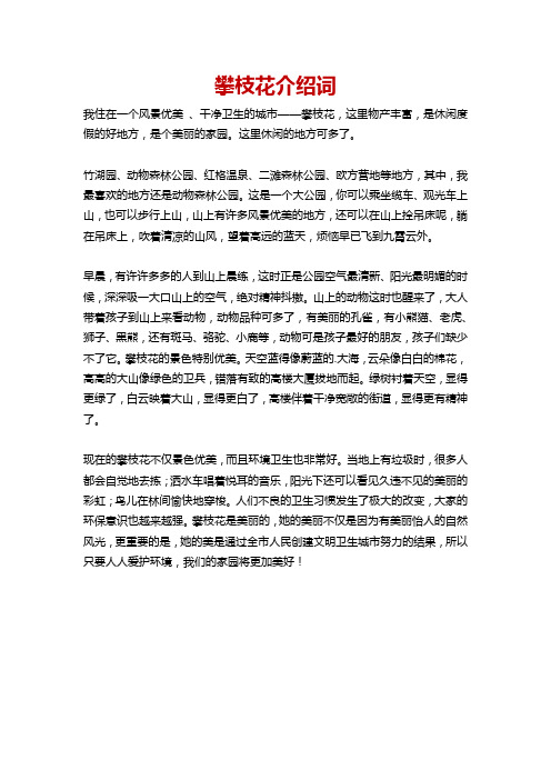 攀枝花介绍词