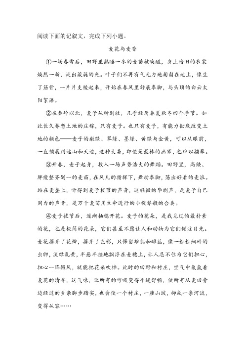 《麦花与麦香》阅读练习及答案