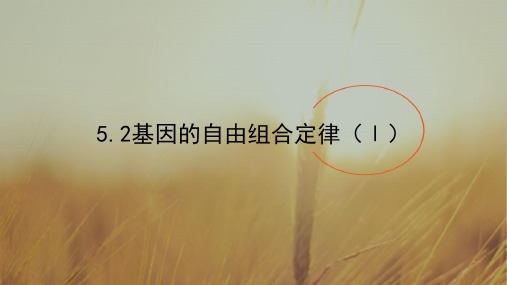 2018年高考生物专题精讲课件：5.2基因的自由组合定律Ⅰ