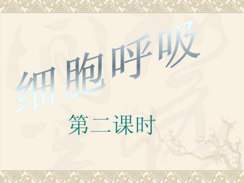 细胞呼吸第二课时