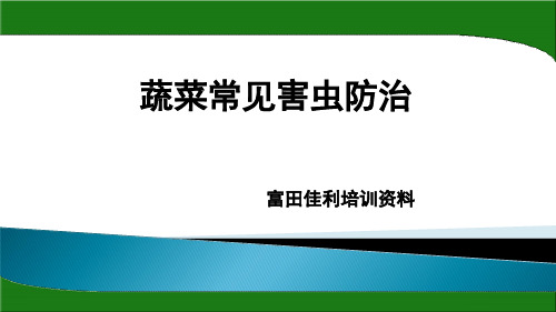 蔬菜常见害虫防治