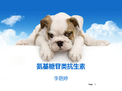 氨基糖苷类抗生素PPT课件