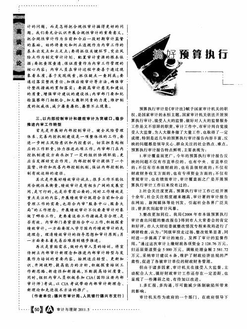 搞好预算执行审计为人大监督服务