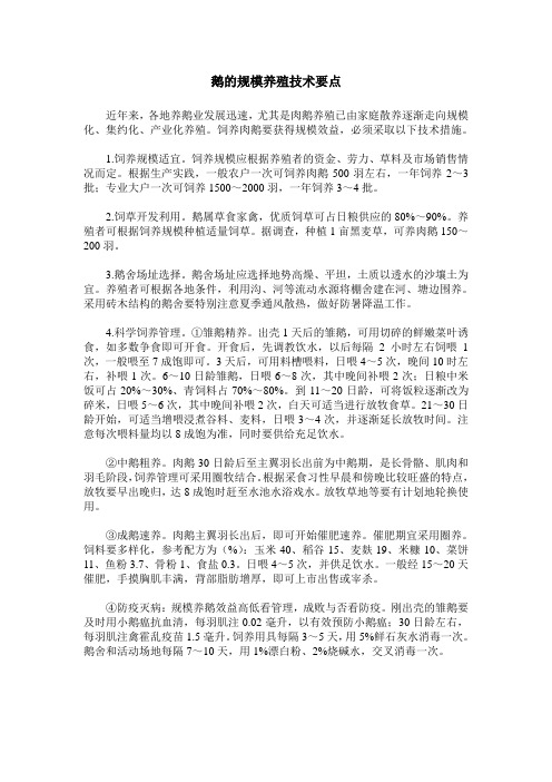 鹅的规模养殖技术要点