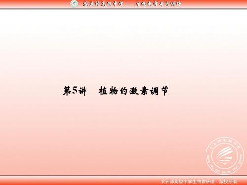 第5讲 植物的激素调节
