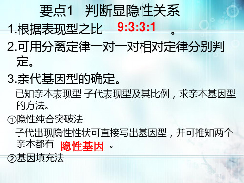 高中生物遗传复习PPT