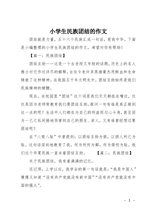 小学生民族团结的作文