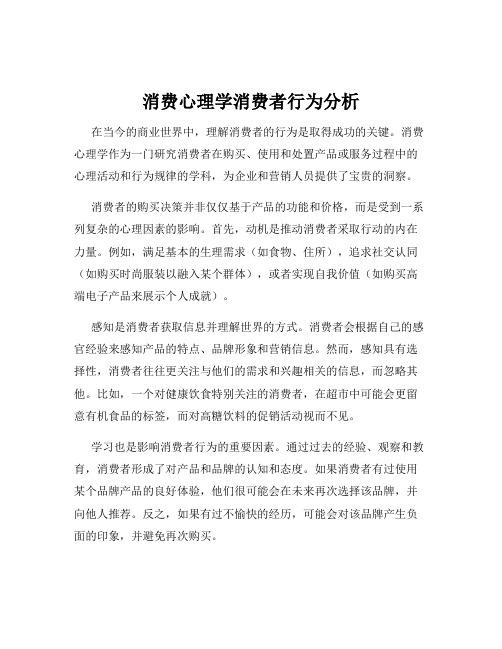 消费心理学消费者行为分析