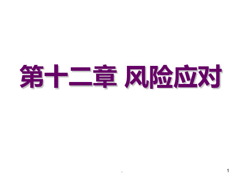 chap12风险应对PPT课件