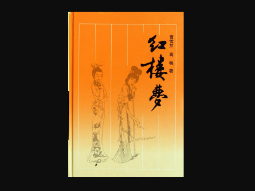 五年级下册语文优秀课件-7.22 人物描写《“凤辣子”初见林黛玉》人教新课标  (共24张PPT)