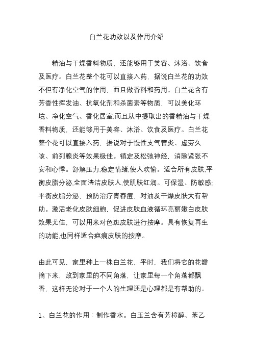 白兰花功效以及作用介绍