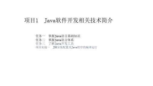 电子教案 Java程序设计项目教程--彭德林