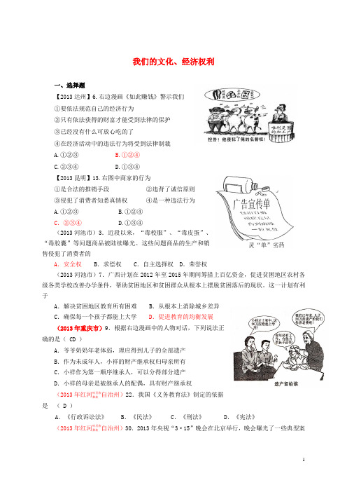 2013年中考政治试题分类：我们的文化、经济权利