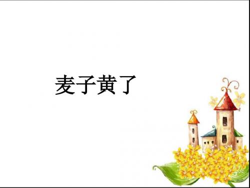 《麦子黄了》课件2-优质公开课-语文A版四下精品