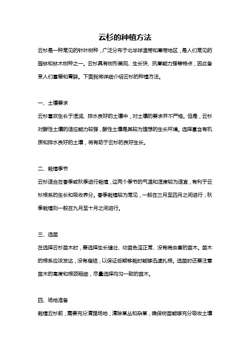 云杉的种植方法