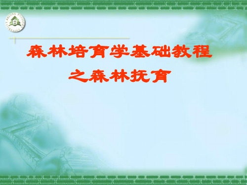 森林抚育基础教程