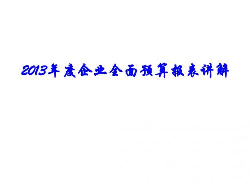 2013年预算报表讲解(修改)件